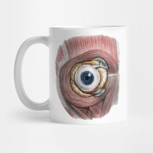 Vintage Human Anatomy Eyeball Mug